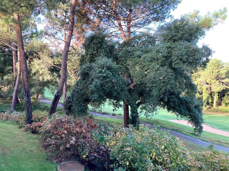Vue Golf dans Résidence Nature SYMPALAPPART Moliets-et-Maa Extérieur photo